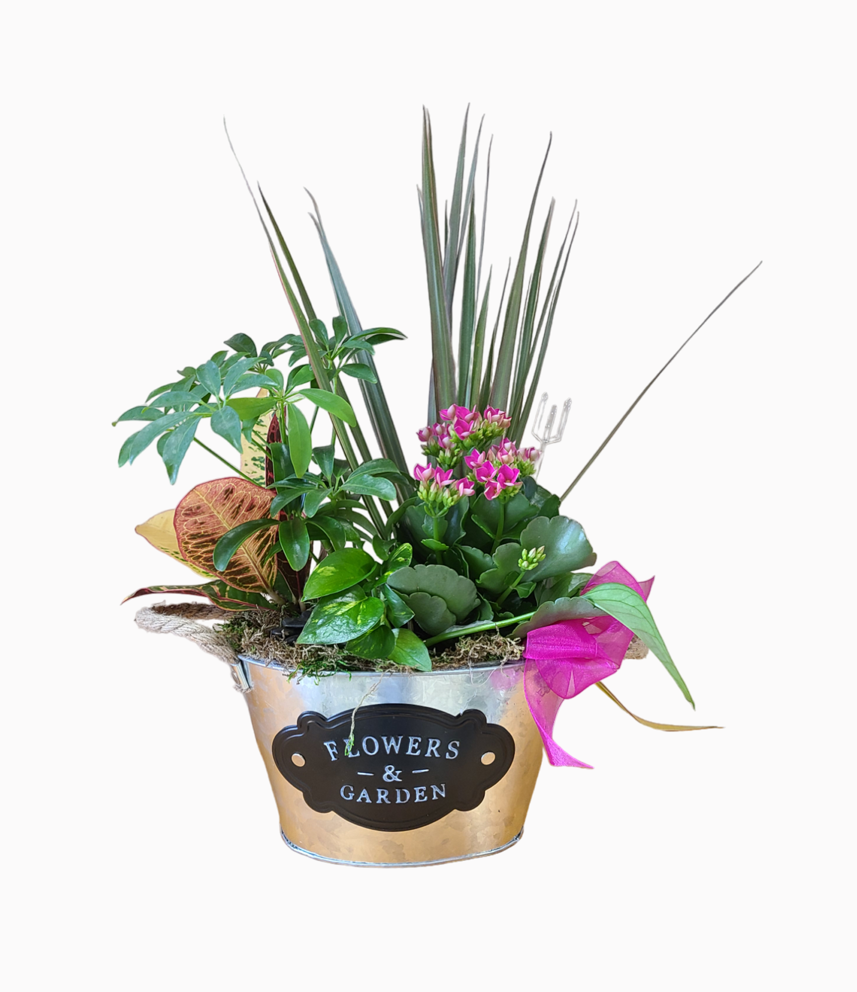 Flowers and Garden