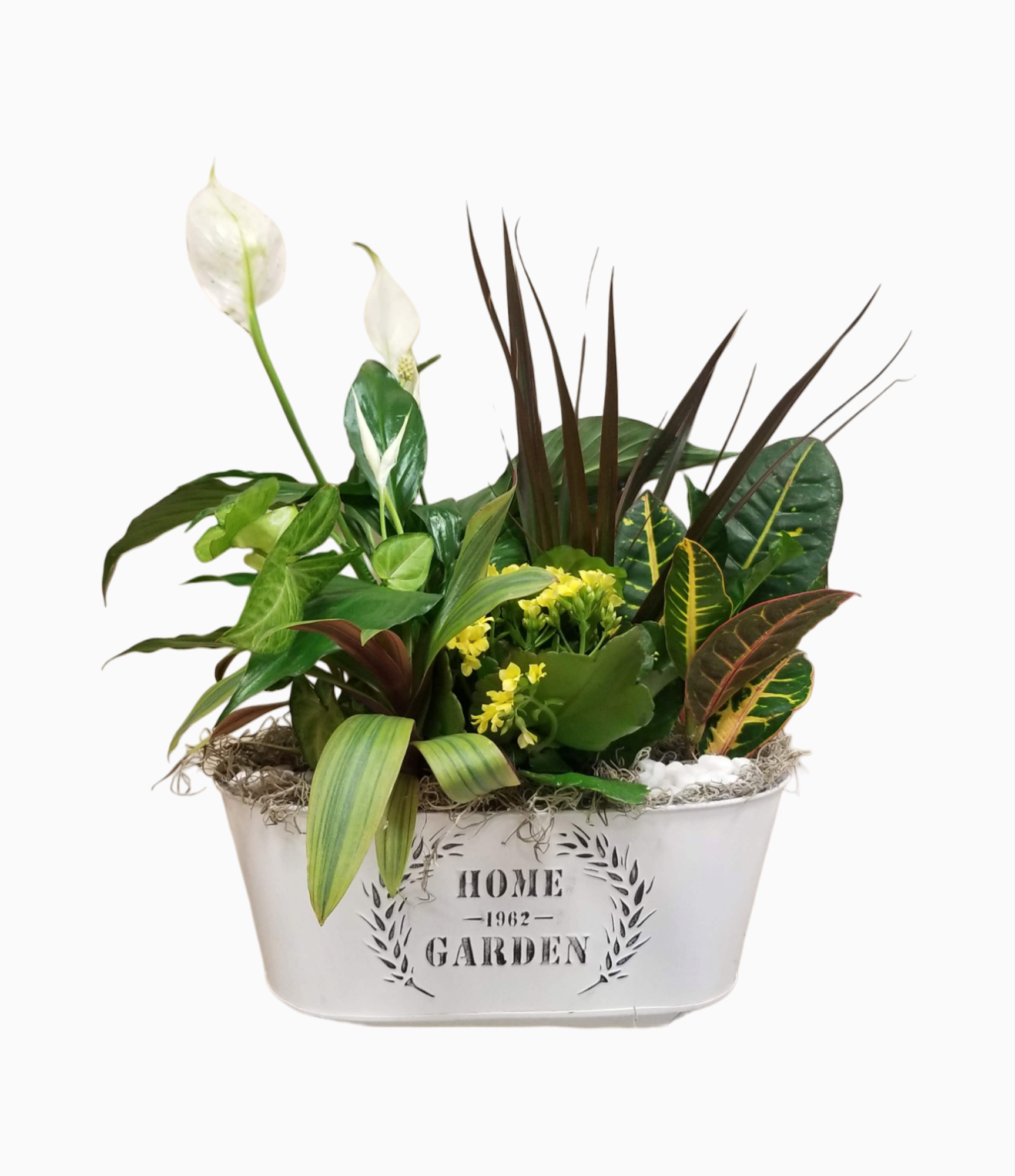 Home and Garden