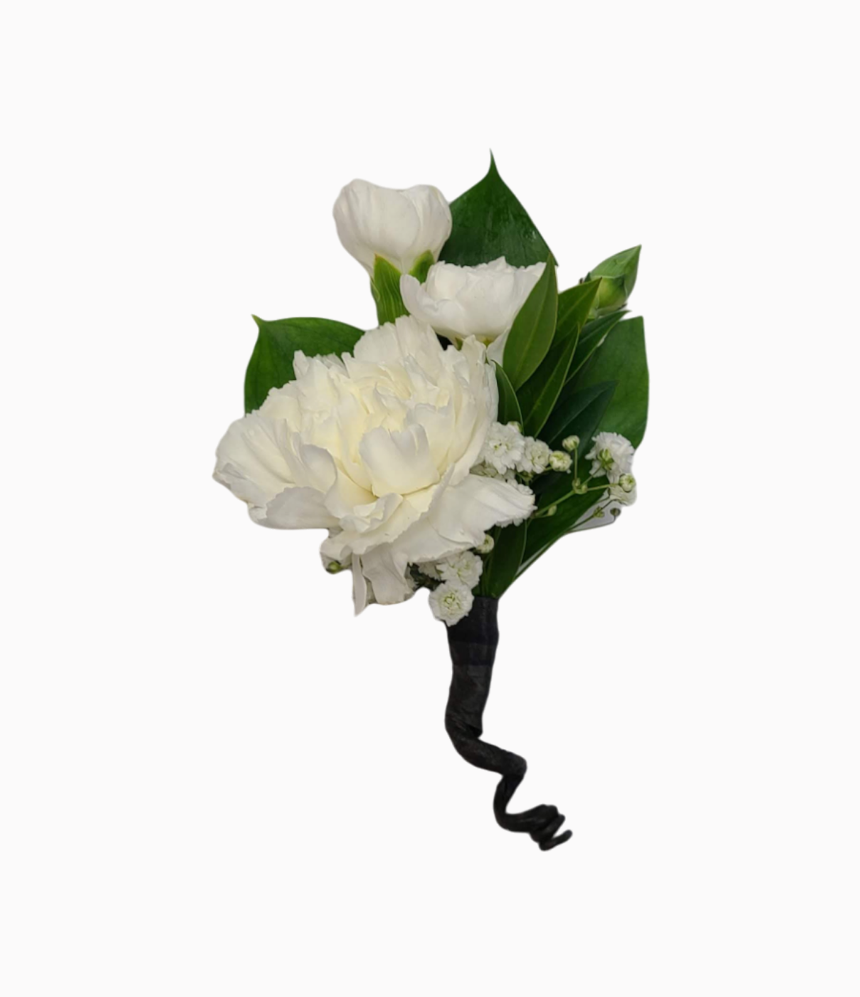 Carnation Boutonniere