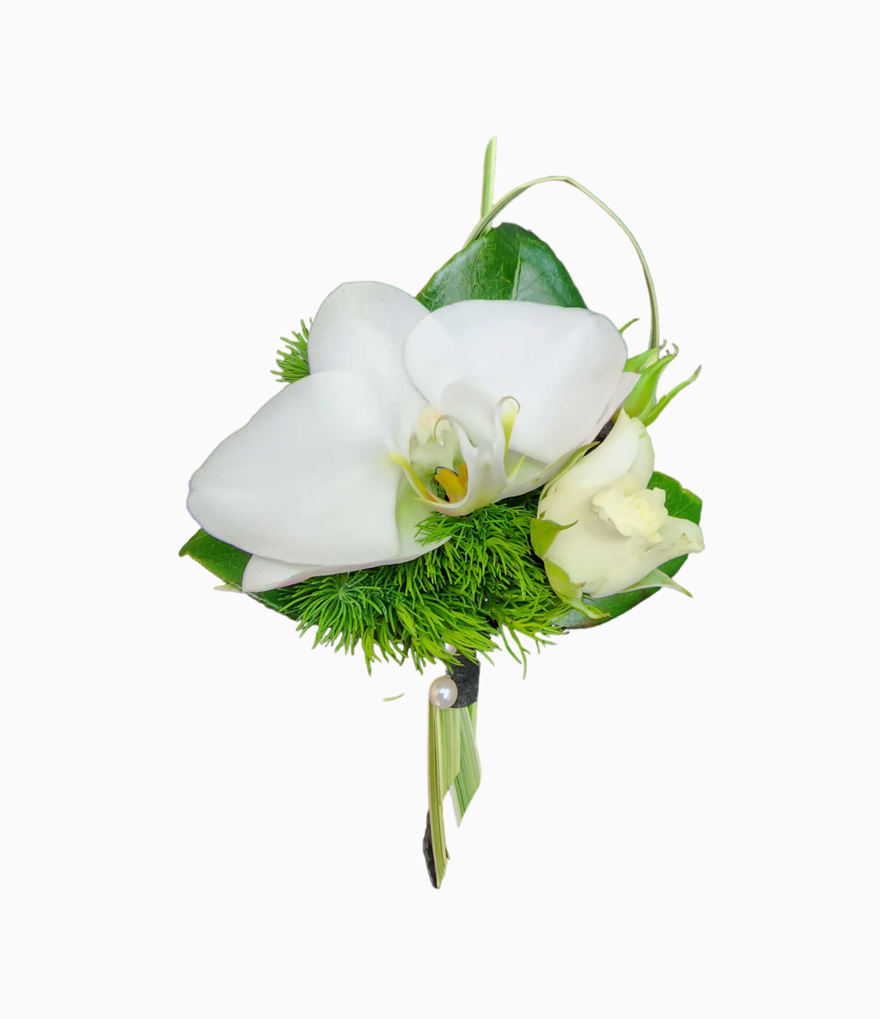 White Phalaenopsis Orchid Boutonniere