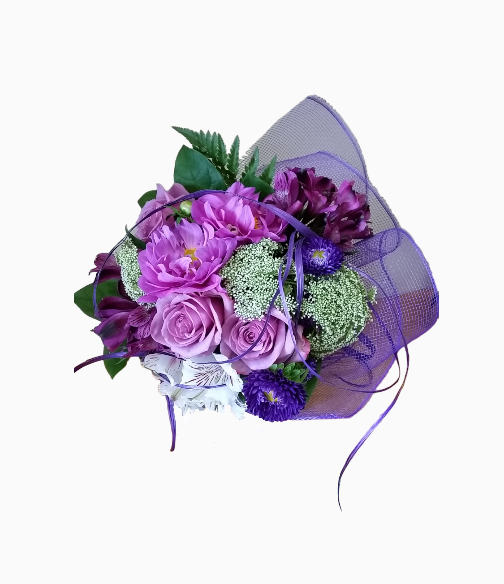 Purple Devine
