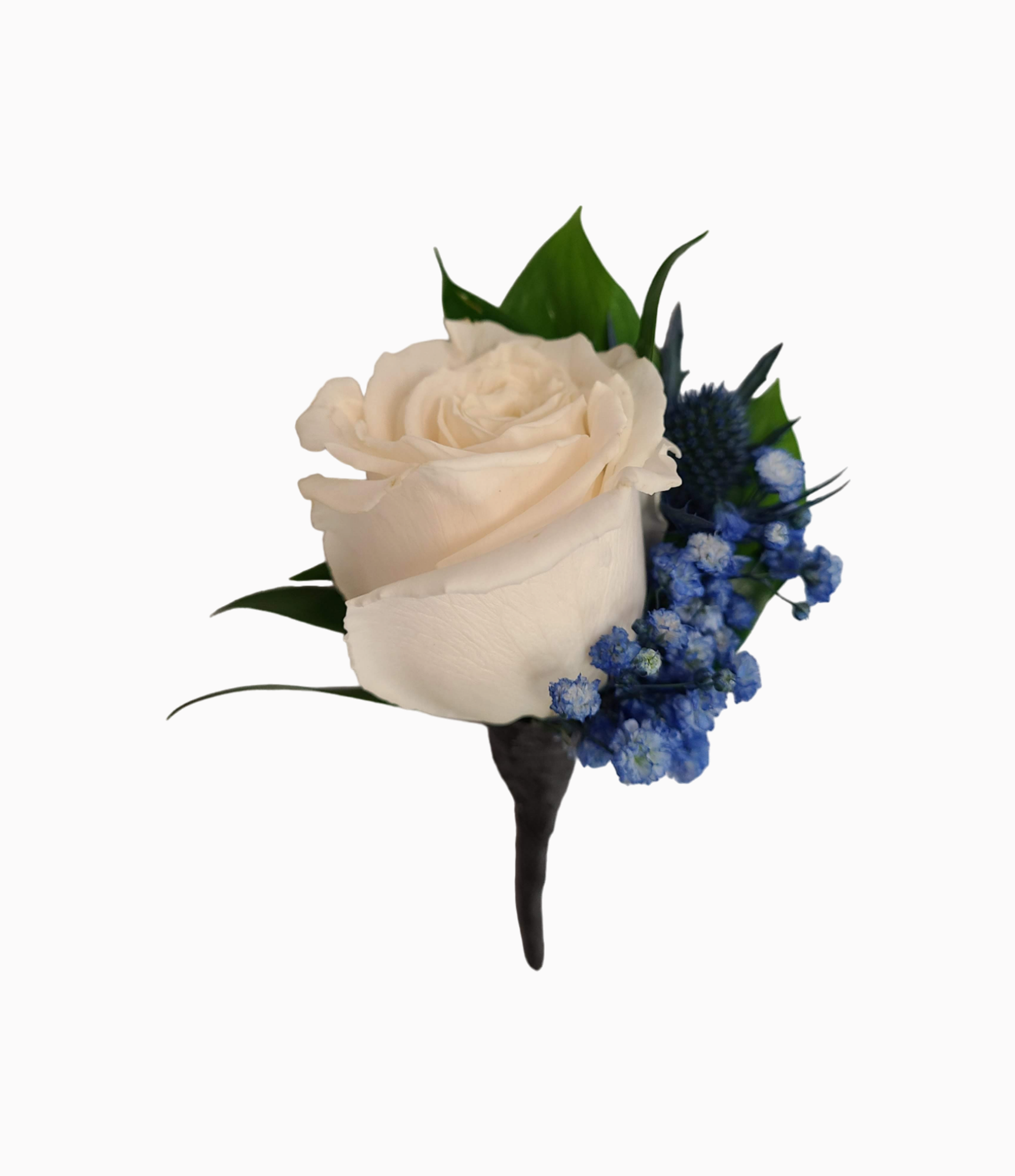 Rose Boutonniere