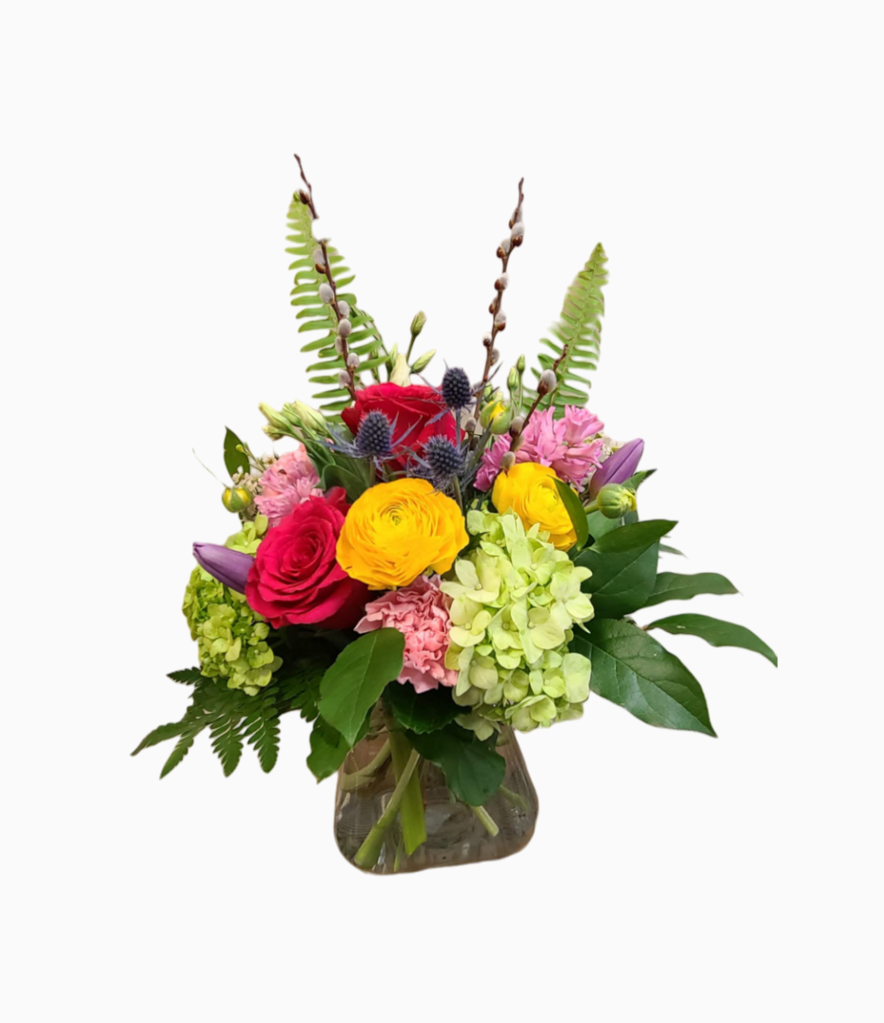 Spring Blooms