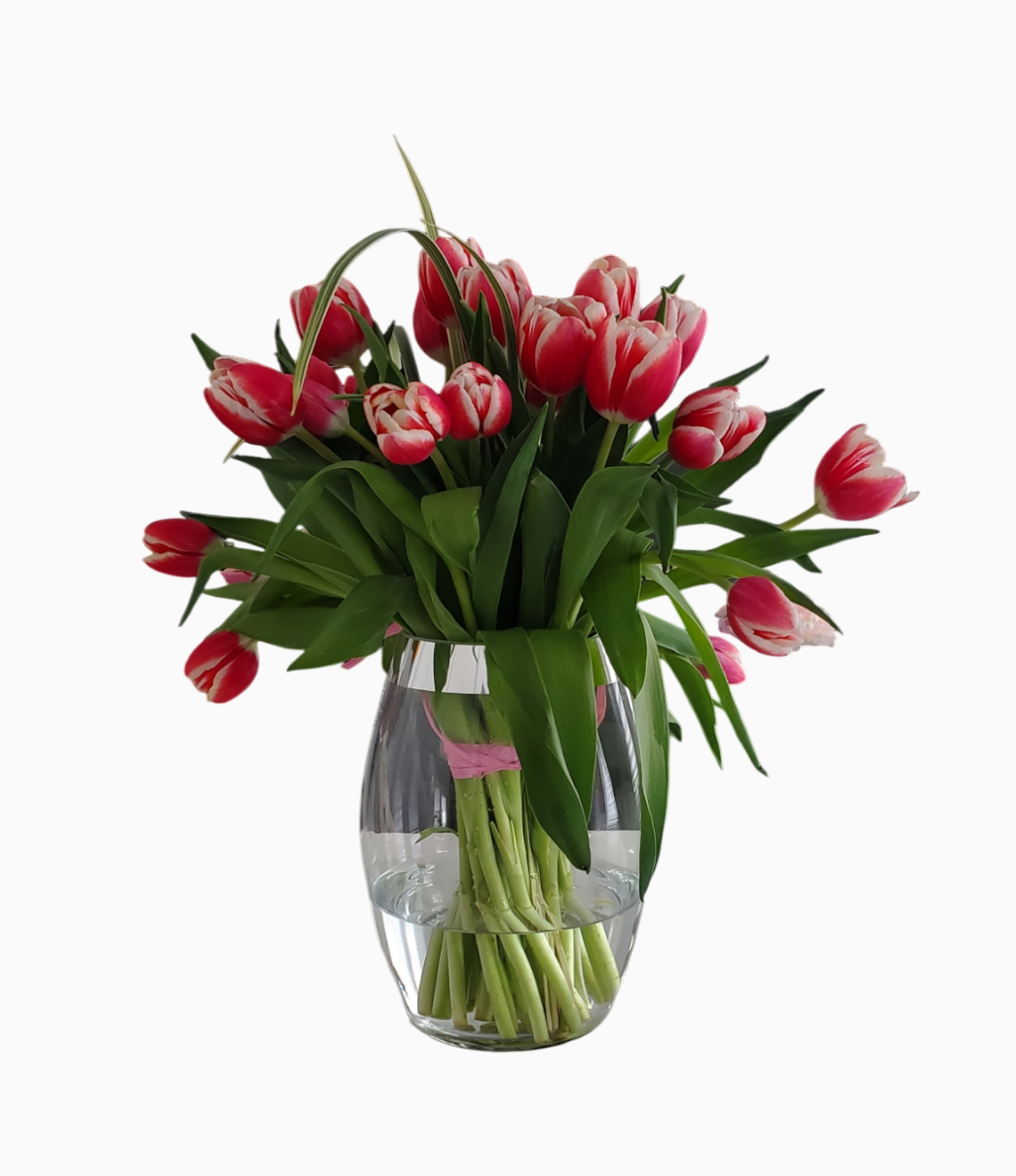 Mix Tulips in a Vase