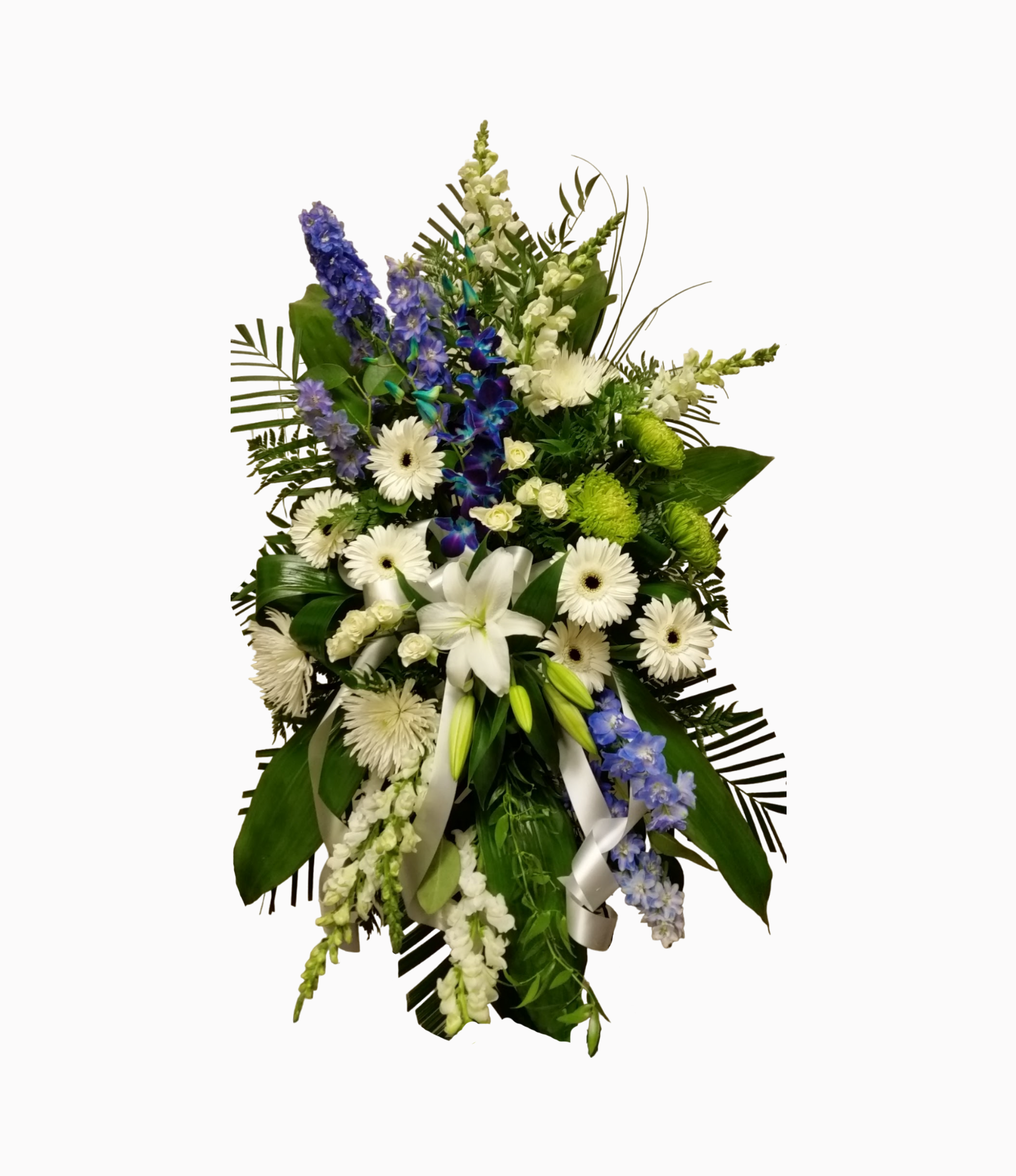 White and Blue Spray