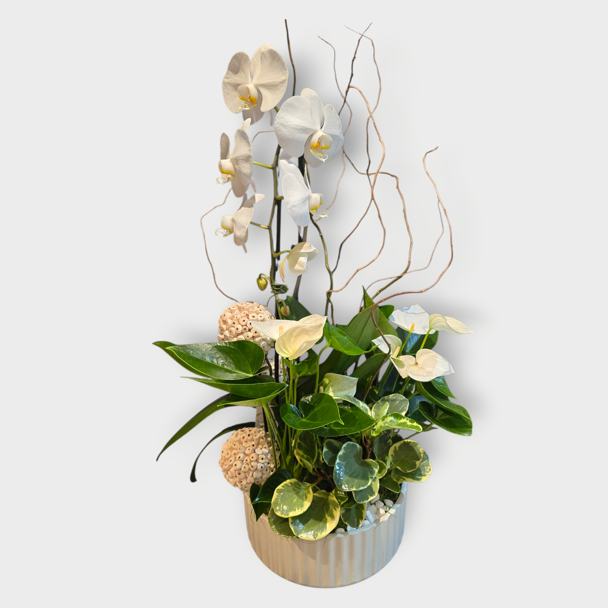 White Orchid Planter