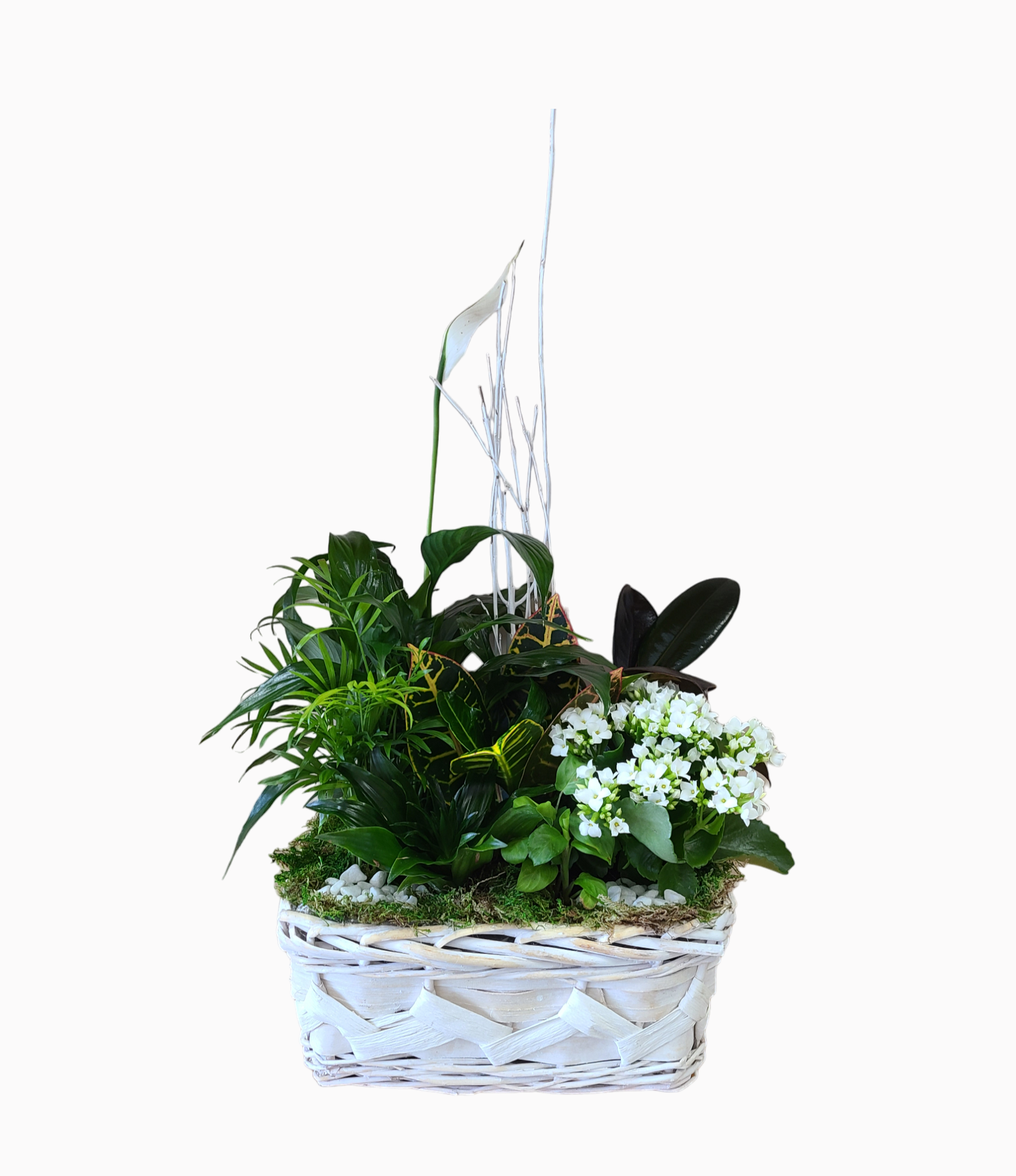 White Basket Planter